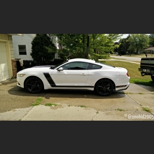 mustang_01_new
