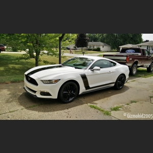 mustang_02_new