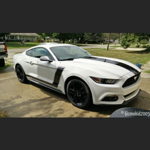 mustang_04_new