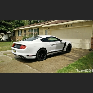 mustang_06_new