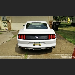 mustang_07_new