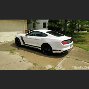 mustang_08_new