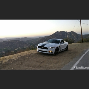 mustang_10_ca_canyon