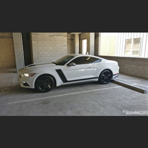 mustang_11_canyon